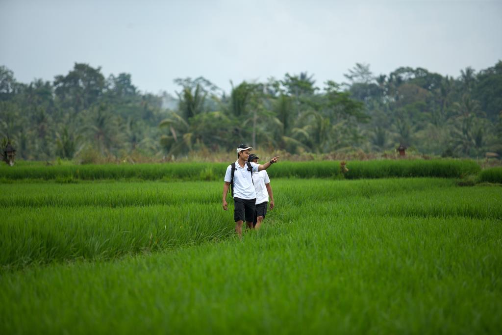 The Samaya Ubud Dış mekan fotoğraf